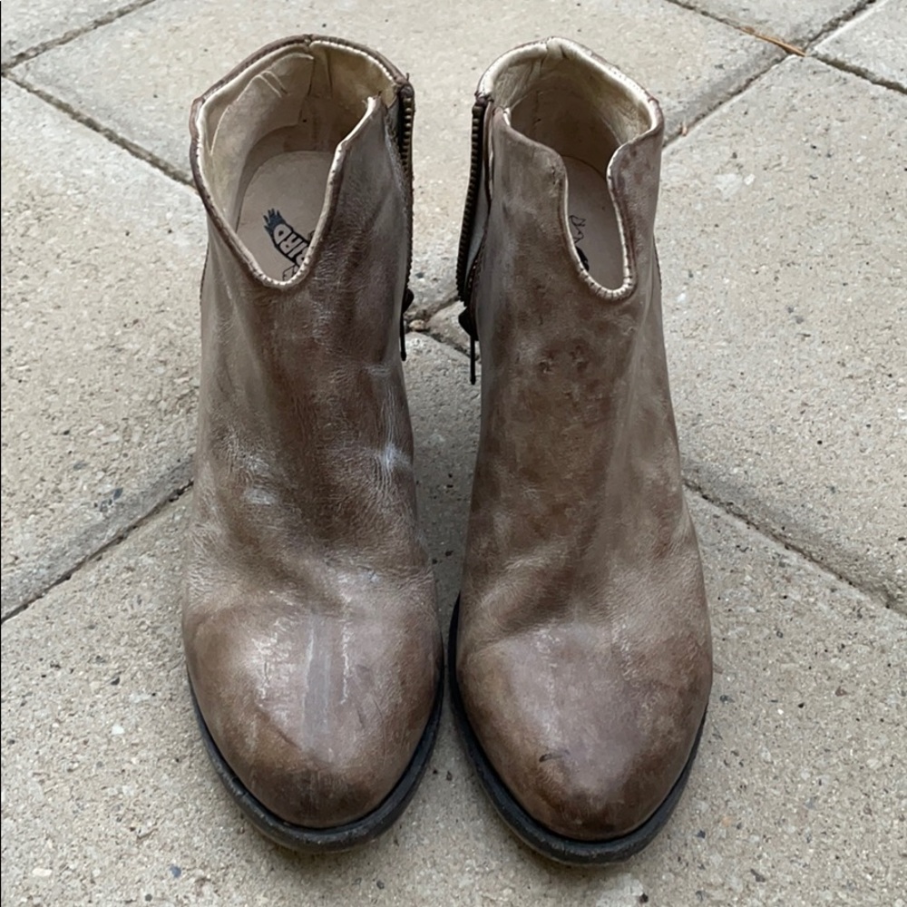 Freebird ankle boots